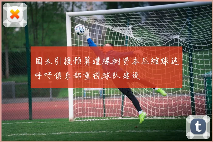 国米引援预算遭橡树资本压缩球迷呼吁俱乐部重视球队建设