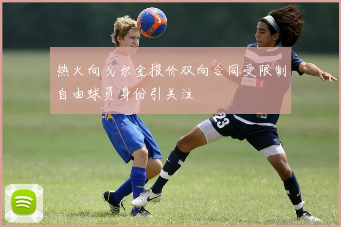 热火向戈尔金报价双向合同受限制自由球员身份引关注